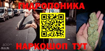 ешки Гатчина