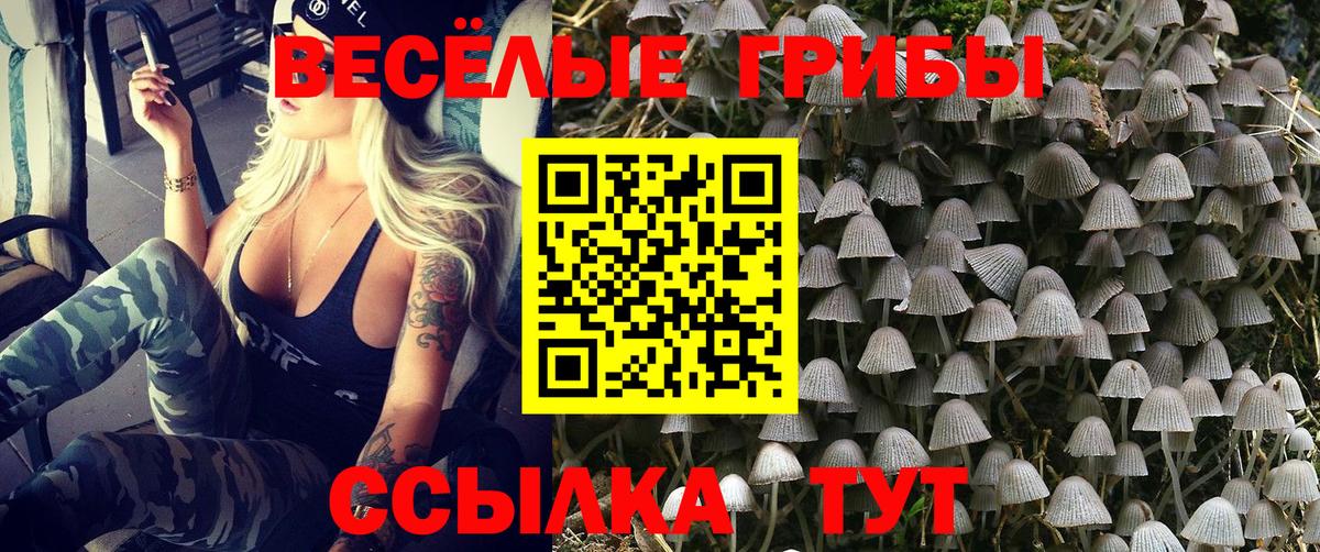 Галлюциногенные грибы Psilocybe  Вход с VPN  Галлюциногенные грибы мухоморы  Армавир 