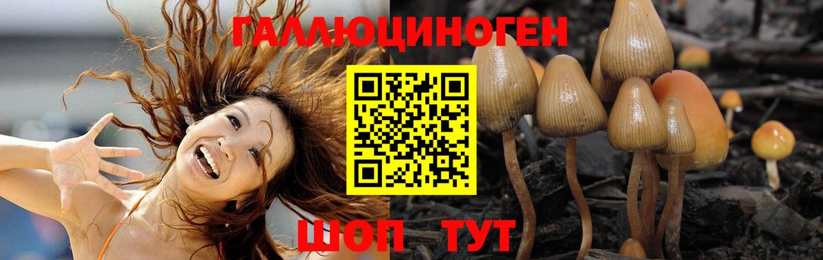 Галлюциногенные грибы MAGIC MUSHROOMS Армавир